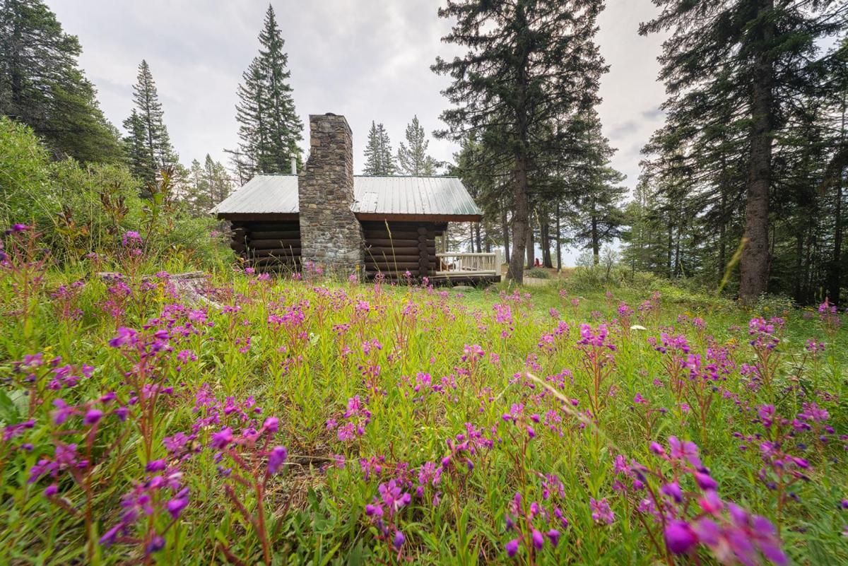 Storm Mountain Lodge & Cabins Castle Junction Exteriör bild