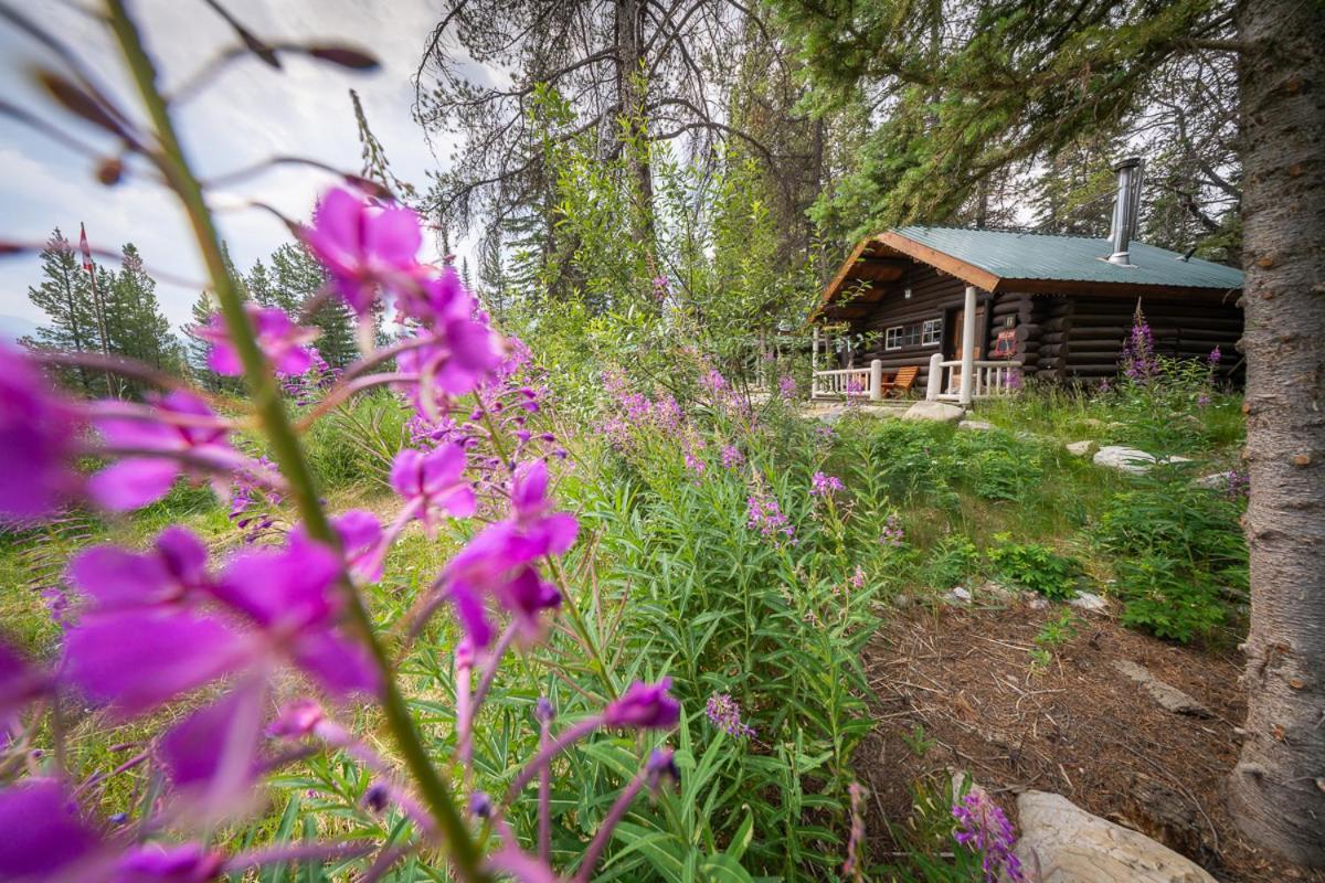 Storm Mountain Lodge & Cabins Castle Junction Exteriör bild