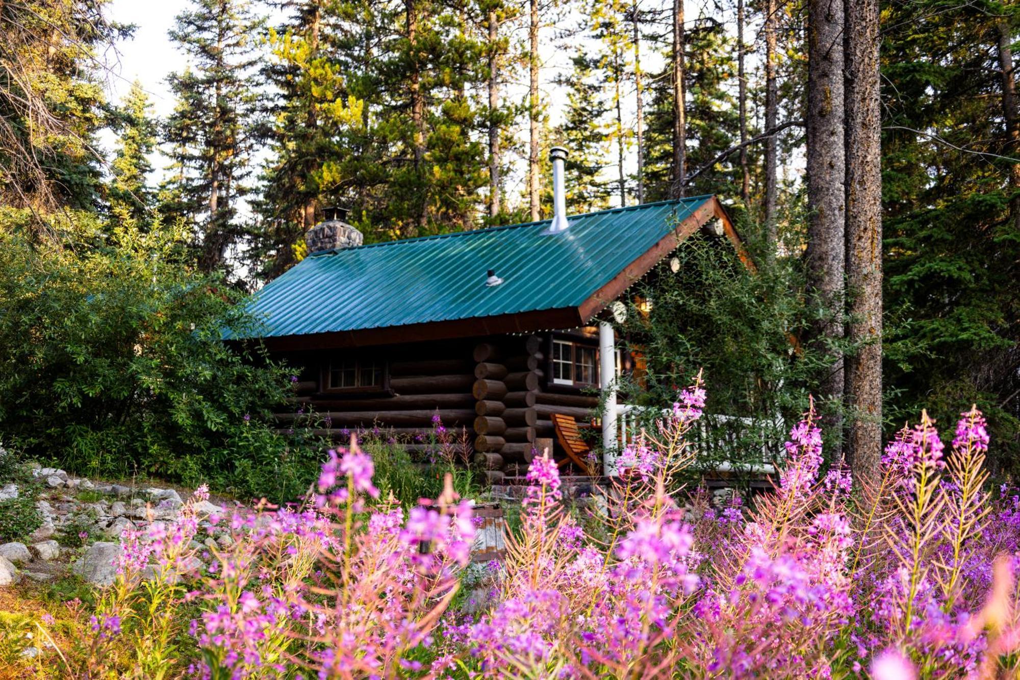 Storm Mountain Lodge & Cabins Castle Junction Exteriör bild